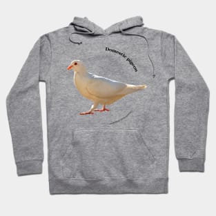 Domestic pigeon walking pin black text Hoodie